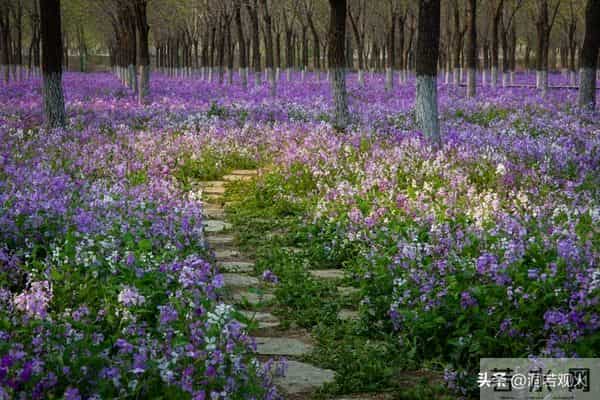 两性关系：55-65岁这十年，惜命的方式，不是锻炼，是做好这6点