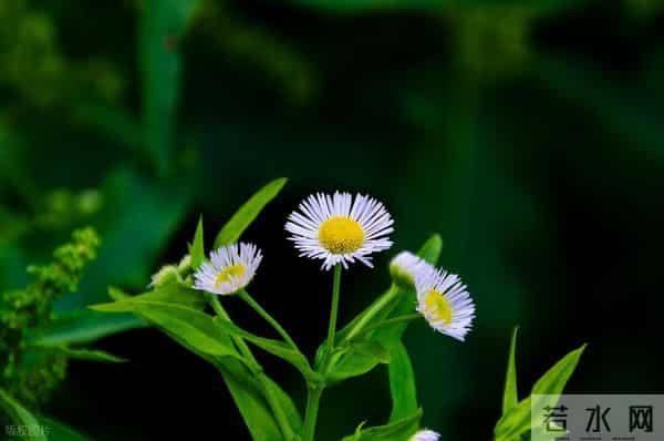 男女交往的真实规则：想让对方一直被你吸引，其实就看一件事