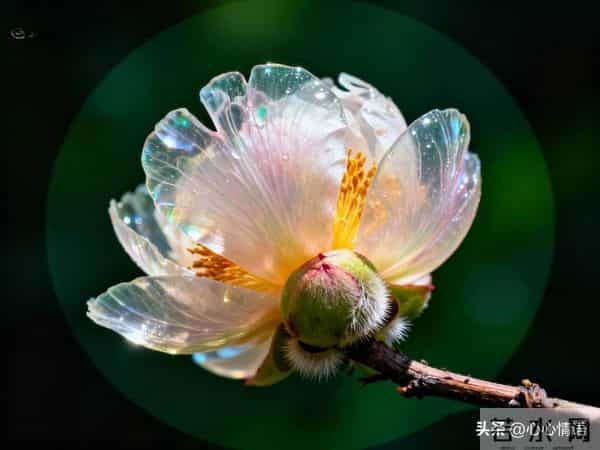 女人真心愿意让你“得手”，总会有5个迹象，别不信