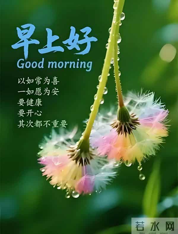 11月24日早上好 早上好问候图片最新今天 早安你好