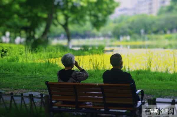 今日爆款文章:《岁月轻逝,学会与时光温柔相拥》