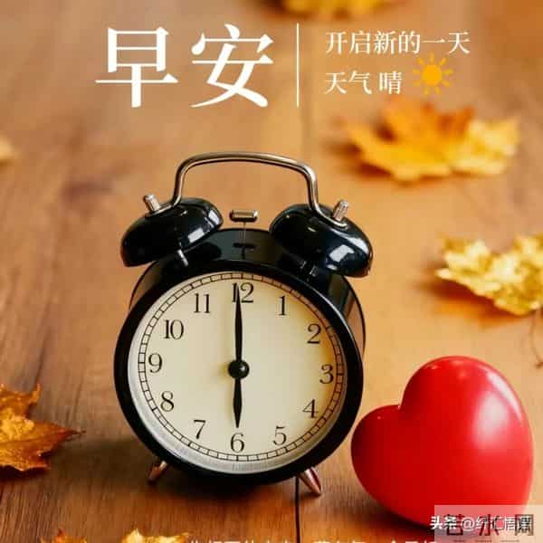 早安!愿这清晨的第一声问候,像一杯温热的牛奶,温暖你的心田