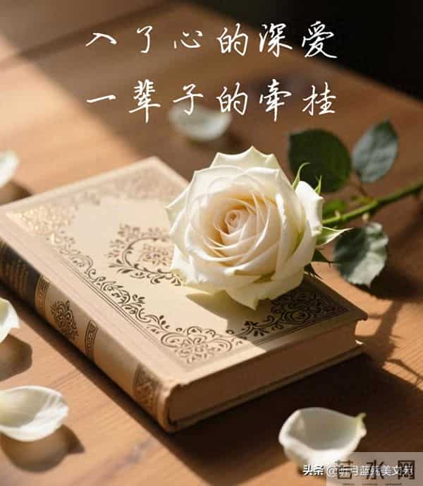 入了心的深爱，一辈子的牵挂