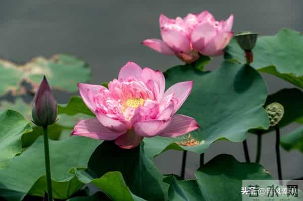 最舒服的两性关系：不是夫妻，却胜似夫妻