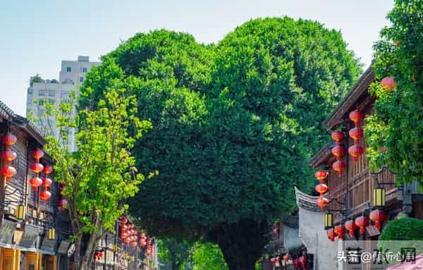 人到了七十岁,如果还想再活二十年,记住这五句话