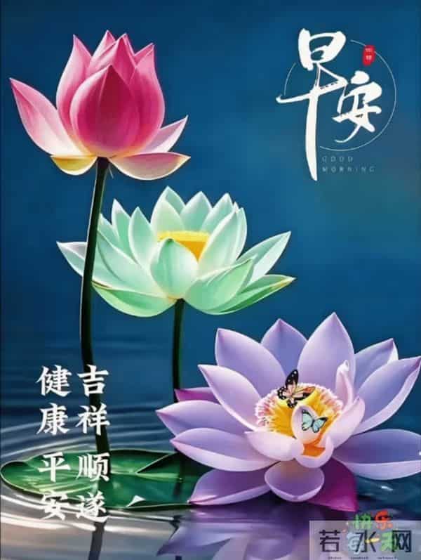 早安·花与吉愿皆可期