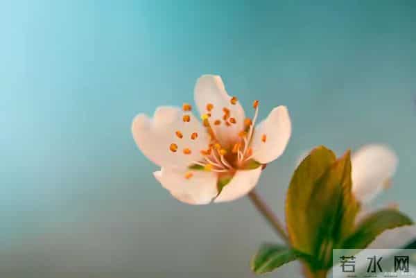 我 59 岁，和 65 岁男性出去玩了五天，回来我果断提出散伙，太无语