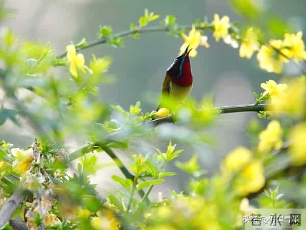 请接受这运程，你的孩子越来越顺