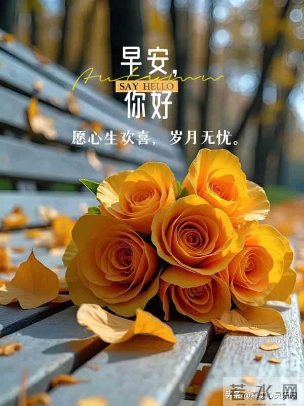 早安图片分享，周末早安图片