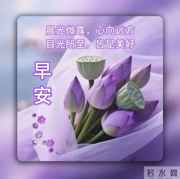 紫晨轻语，一笺早安