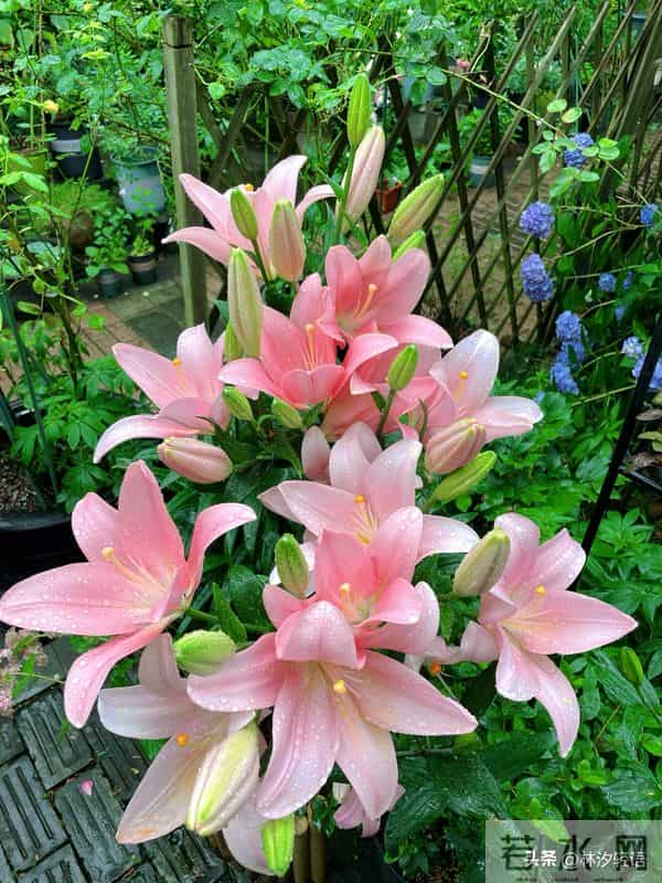 已婚女人一旦有了别的男人，不会拒绝丈夫亲近，却会有2个表现