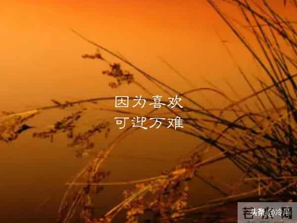 世界很甜,因为有你。