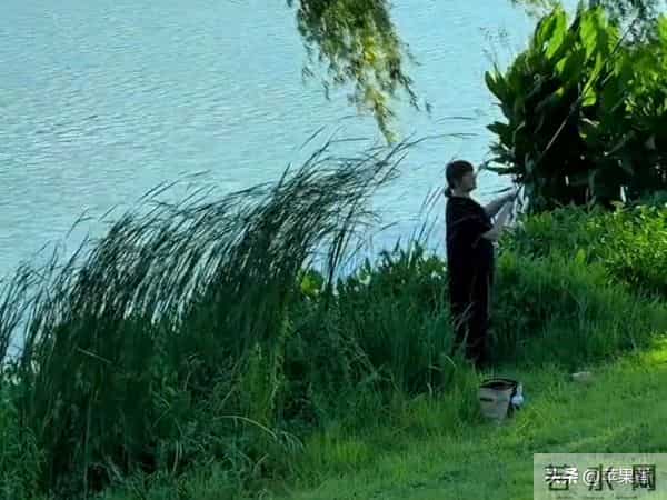 我退休金4700搭伙老伴每月出1000，吃住在我家，1年后把他赶出家