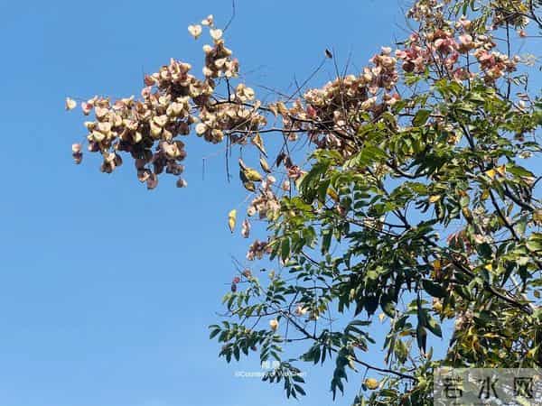 父母走后，兄弟姐妹关系再好，也要隐瞒这3件事，别不在意！