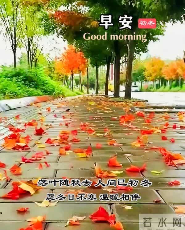 2025年11月24日早上好 早上好温馨问候祝福语 早安精美图片 周一愉快