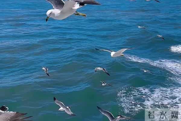 现如今已经有很多人都意识到了，“发大愿能改命”！