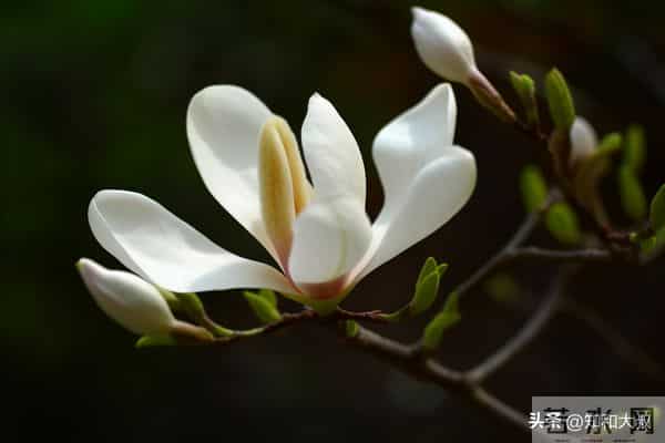 一个女人，最通透的活法：4个字