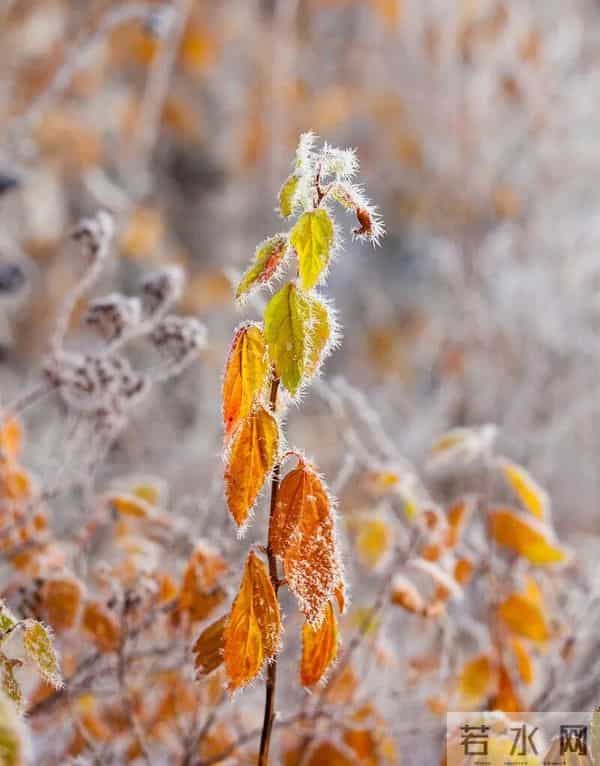 浅冬微寒，阳光轻暖
