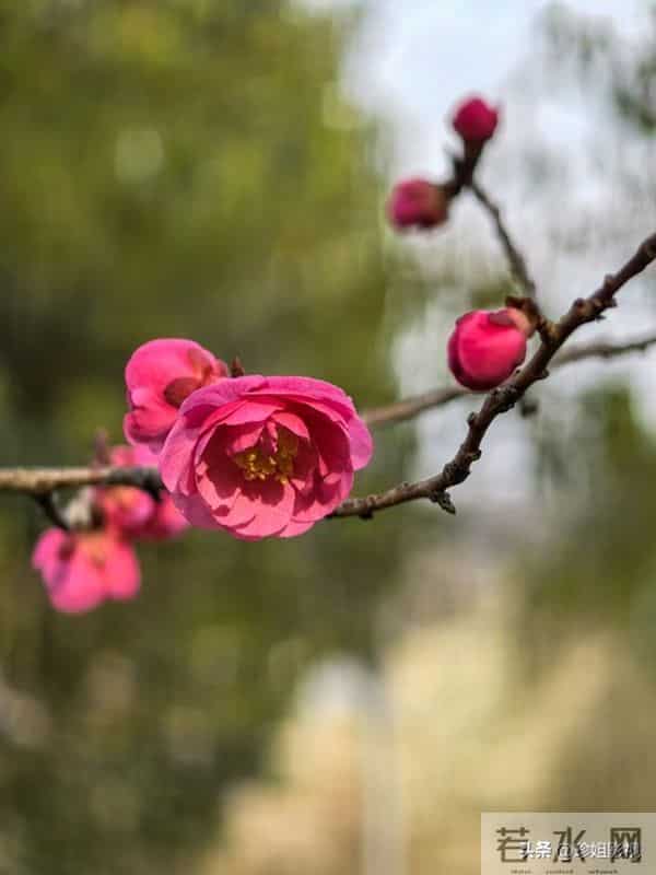 我 49 岁已绝经了,前段时间我和一个比我大五岁的老头子在一起了