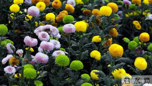 最好的承诺是-你就是我的责任……