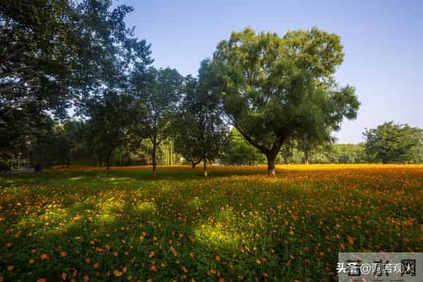 两性关系:55-65岁这十年,惜命的方式,不是锻炼,是做好这6点