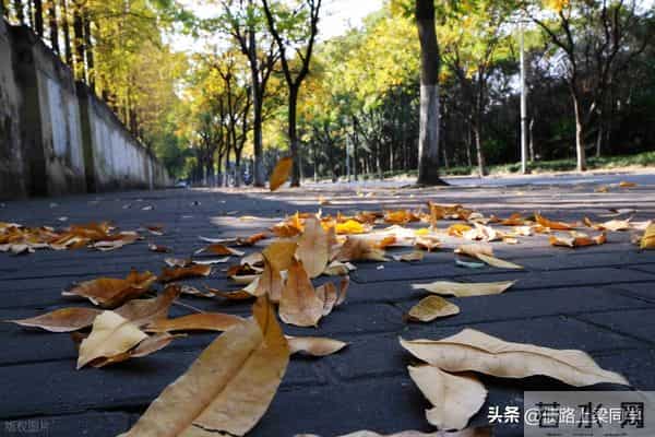 如果您欠几十万就崩溃?听完这段话您会马上清醒!