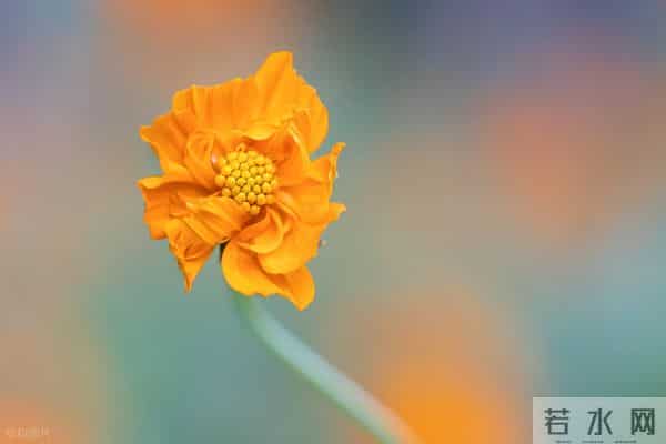 男女关系里，你撤退得越快，你的价值越高