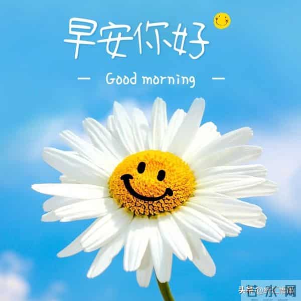 早安!愿这清晨的第一声问候,像一杯温热的牛奶,温暖你的心田