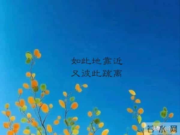 世界很甜,因为有你。