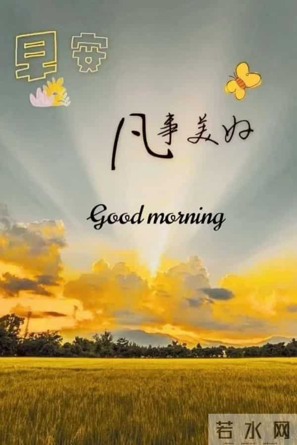 11月24日早上好 早上好图片最新今天 早安问候图片 早安暖心的句子