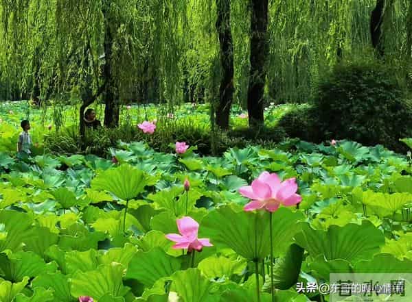 两性相处,中年女人最爱听的8句“心动话”,说对了感情更甜蜜