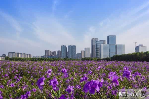 越是成熟的男人，越容易爱上“中年女人”：原因只有一个，很准