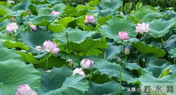 人退休后,最从容的活法:关闲门,养心性,踏山河