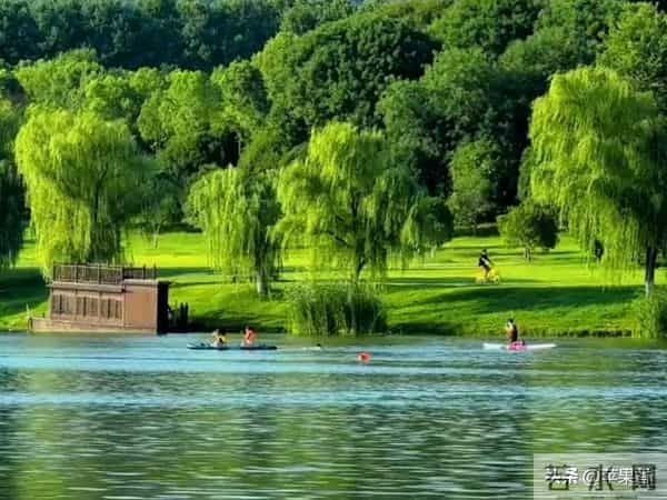 我退休金4700搭伙老伴每月出1000，吃住在我家，1年后把他赶出家