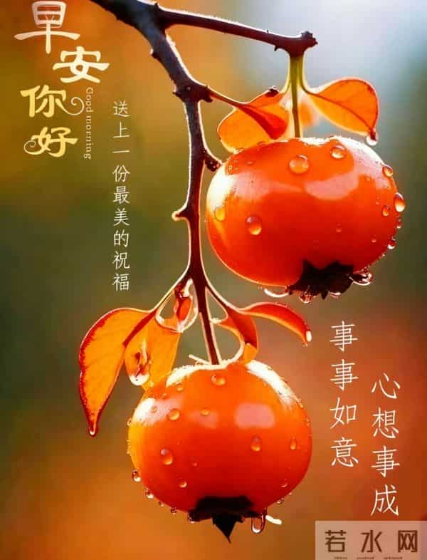 早安·花与吉愿皆可期