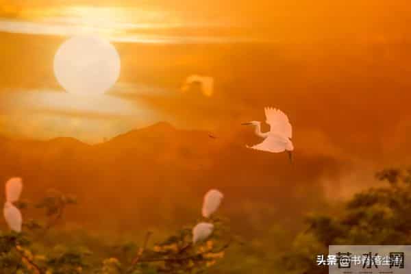 罗素说:人活着就两件事情,第一让肉体健康 ,第二让灵魂自由