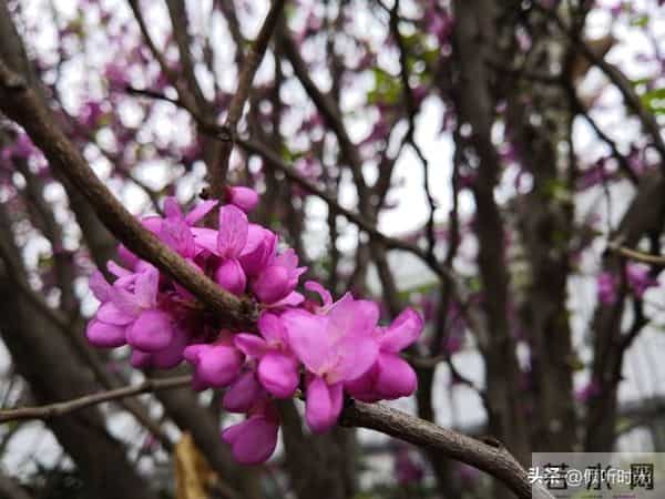 两性关系，惊人发现，60岁与异性靠近，根本不是桃花运，而是这