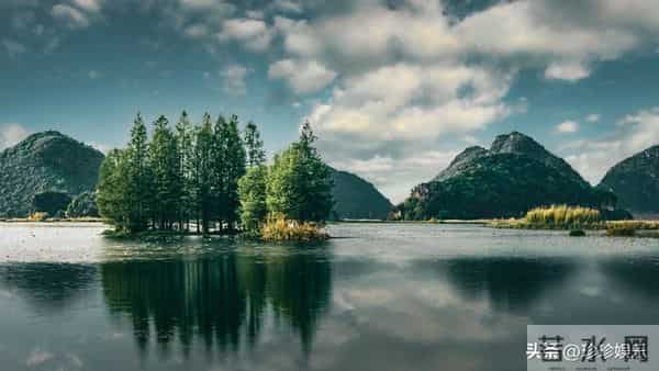 为何男人丧偶多再婚,而女人丧偶多选择独身?背后真相让人深思!