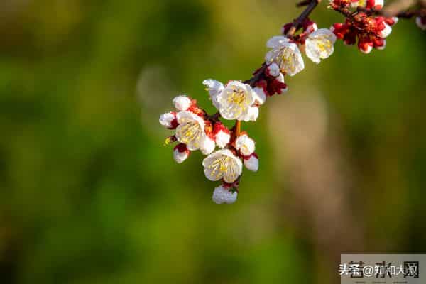 一个女人，最通透的活法：4个字