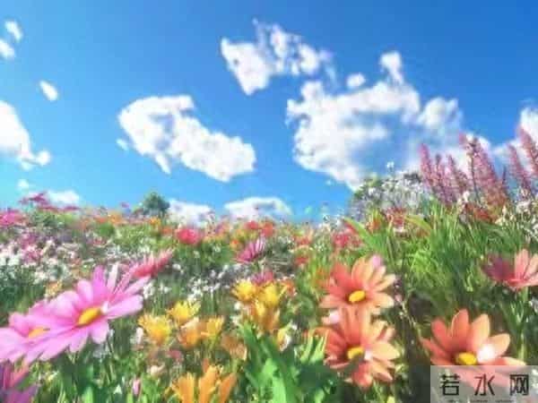 写给最爱的你：不能打扰，不能联系，就在梦里一直陪着你