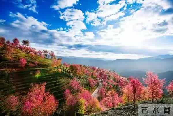 一个男人爱不爱自己的老婆,本质上跟女人没有关系,而是这点