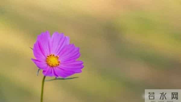 人到中年才懂,无论男女,有过一次不忠,余生只剩两条路