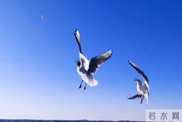 女子远嫁深圳离婚,分开15年前男友知道,主动联系再续前缘