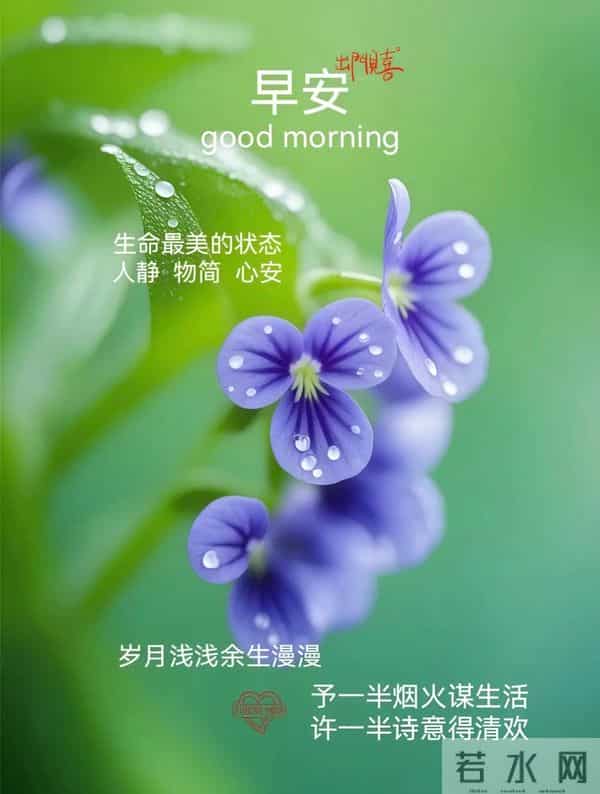 11月24日早上好 早上好图片最新今天 早安问候图片 早安暖心的句子