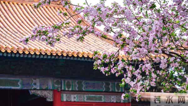 父亲过世老伴不跟我回家,10年后婆婆生病我也不管,老伴却提离婚