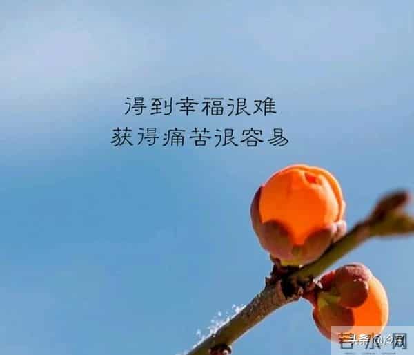 世界很甜,因为有你。