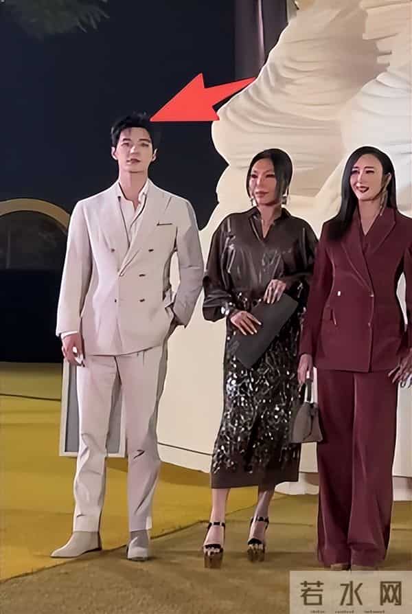 深圳BC红毯太真实,童谣头秃靠边站、胡静嘴歪显老态、王凯瘦脱相