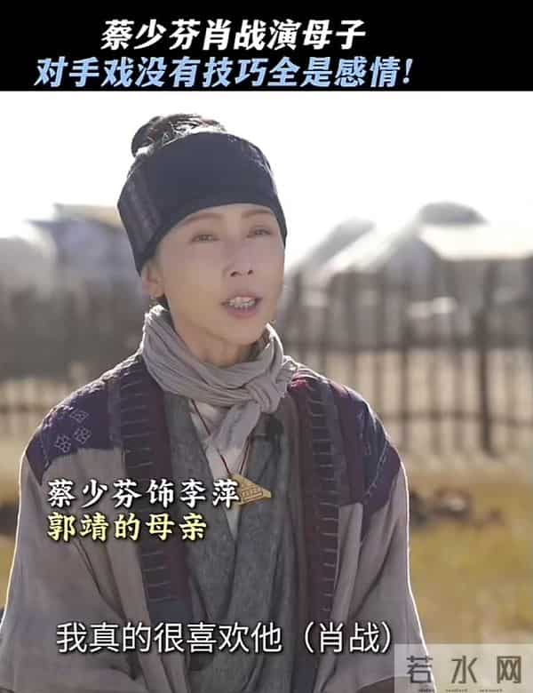 落地凤凰不如鸡？52岁蔡少芬为钱奔波瘦脱相，被王晶嘲讽不上进