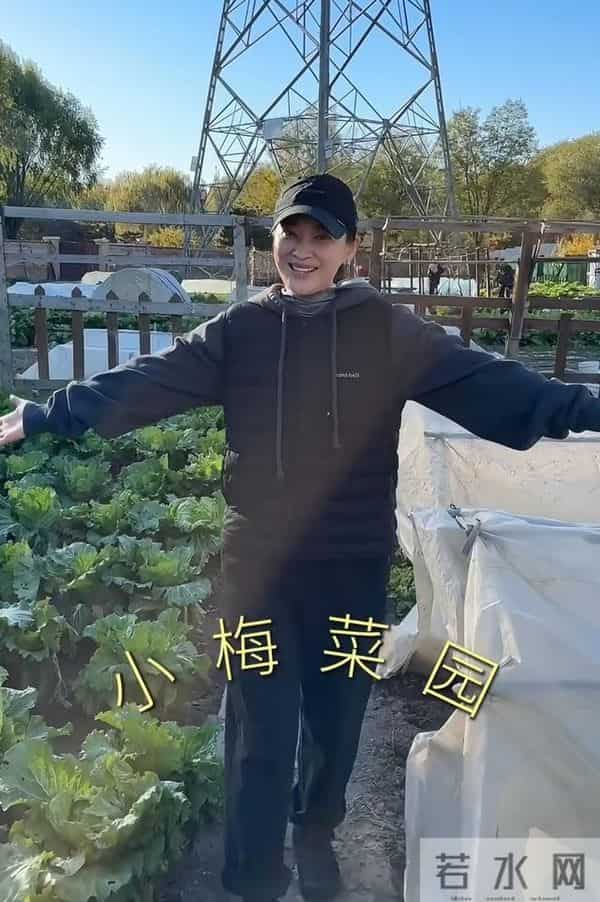 梅婷别墅请客烤肉,儿女上镜卖萌,丈夫却成最大“亮点”