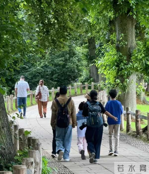 孙俪的儿子跟她长得太像了,长成这样的星二代进娱乐圈才有说服力